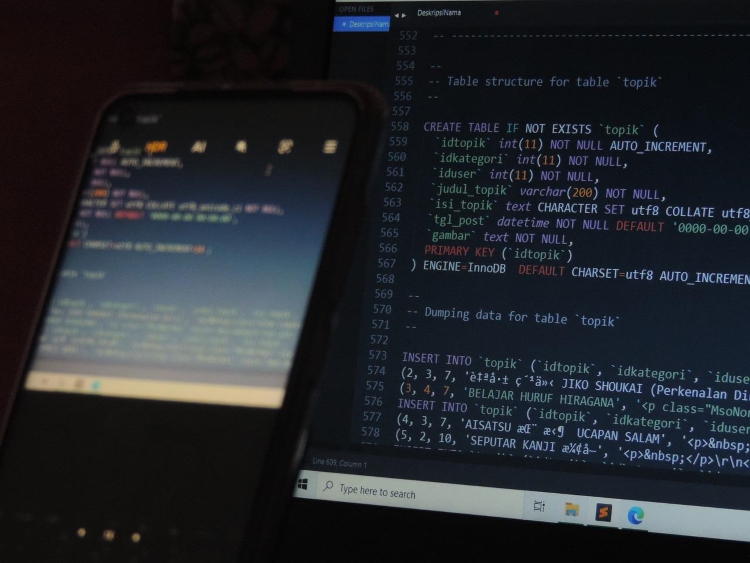 10 Melhores Cursos Online de SQL/Banco de Dados (Grátis e Pagos)